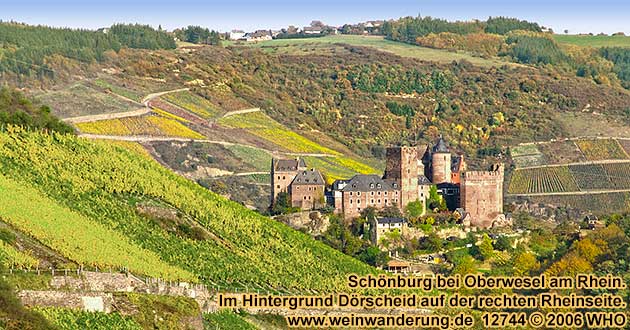 Schnburg bei Oberwesel am Rhein