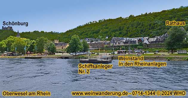 Pop-Up Weinstand mit Biertischgarnituren in den Rheinanlagen am malerischen Rheinufer von Oberwesel.